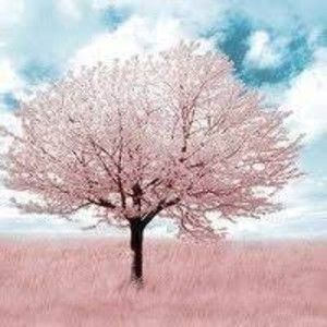 Meet your Posher, Hade